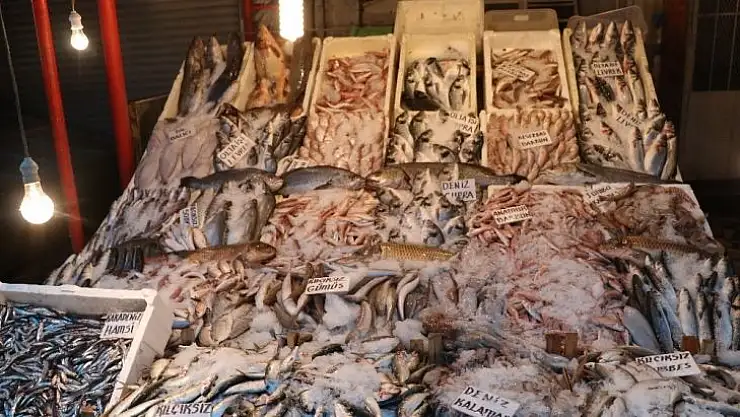 Balıkçılar çiftlik balıklarının fiyatlarının artmasına tepkili
