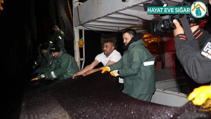 Balıkçılık av sezonu bugün sona erdi