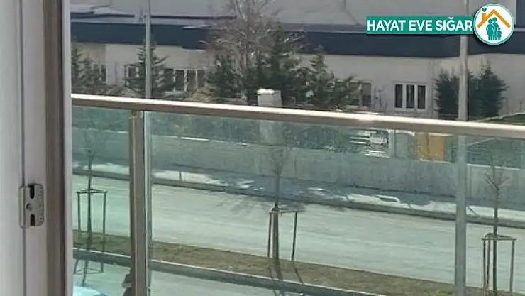 Başakşehir'de kağıt toplayıcılara pompalı tüfekli saldırı