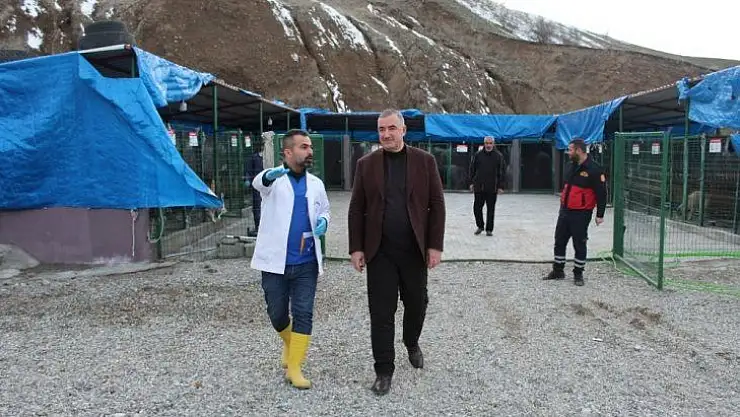 Başkan Turanlı: 'Hayvanlar, Allah'ın bize emanetleridir'