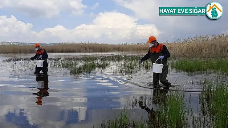 Başkent'te ilaçlama seferberliği