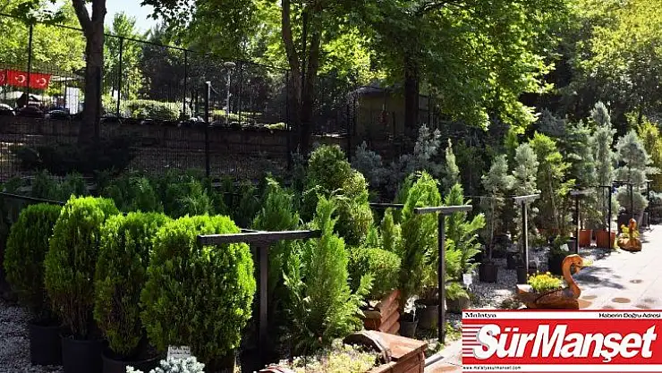 Başkentin çiçek evi