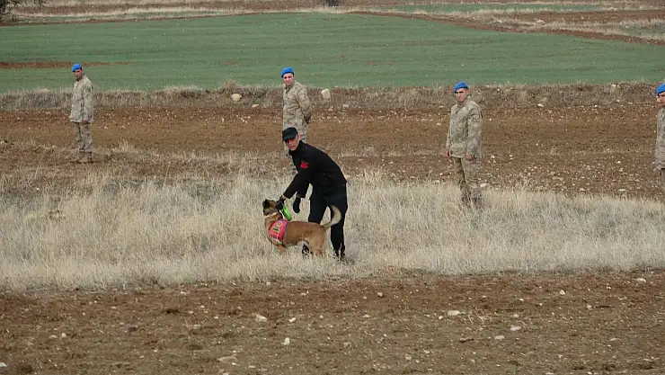 Başsız Ceset Olayında Kritik Kamera Kaydı Ortaya Çıktı!