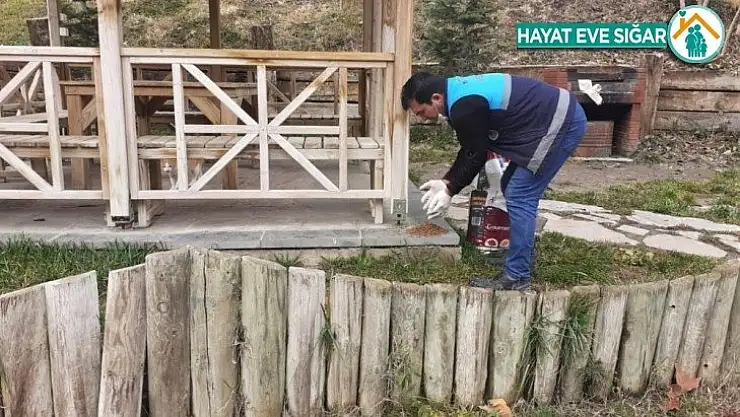 Battalgazi'de sokak hayvanları unutulmadı
