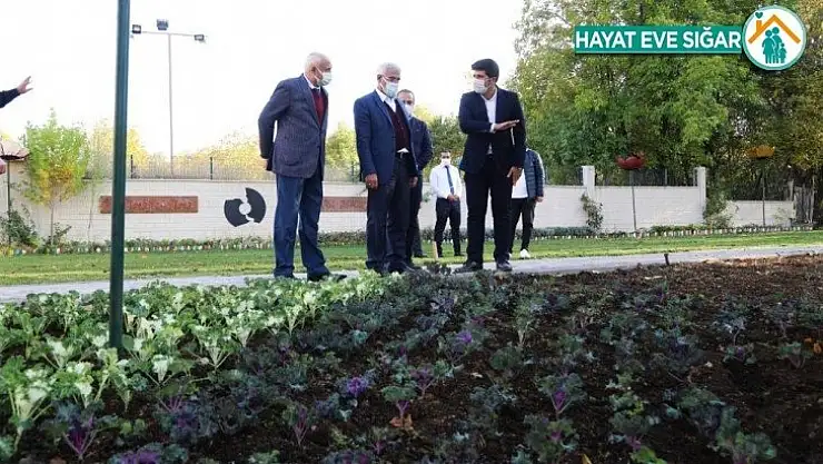 Battalgazi'ye 25 bin kök süs bitkisi dikiliyor