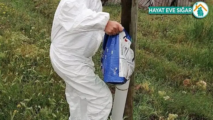 Bayramda sokak hayvanları unutulmadı