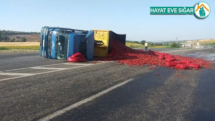 Biber yüklü tır devrildi: 1 yaralı