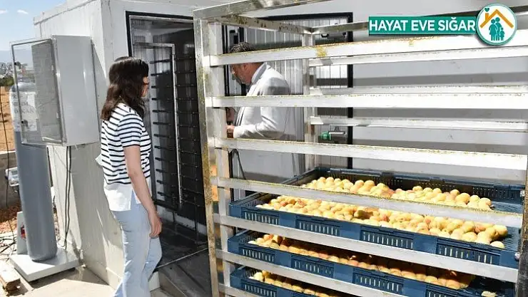 Bilim insanlarının geliştirdiği kayısı kükürtleme odası tam not aldı