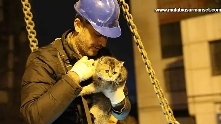 Bina enkazının yıkımı durduruldu, 'Zena' isimli kedi kurtarıldı
