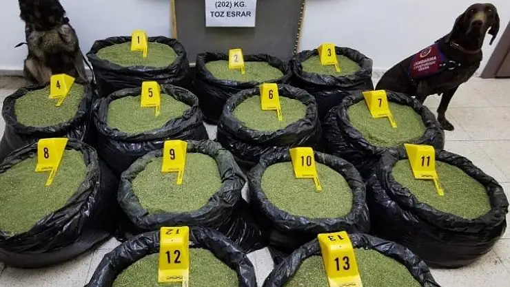 Bingöl'de jandarma, 202 kilo toz esrar ele geçirildi