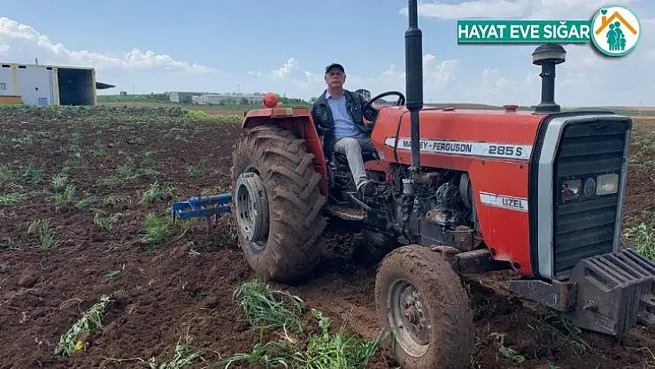 Bismil'de sokağa çıkma kısıtlamasından muaf olan çiftçiler tarlalarında çalıştı