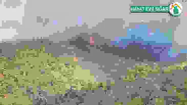 Bursa'da orman yangını