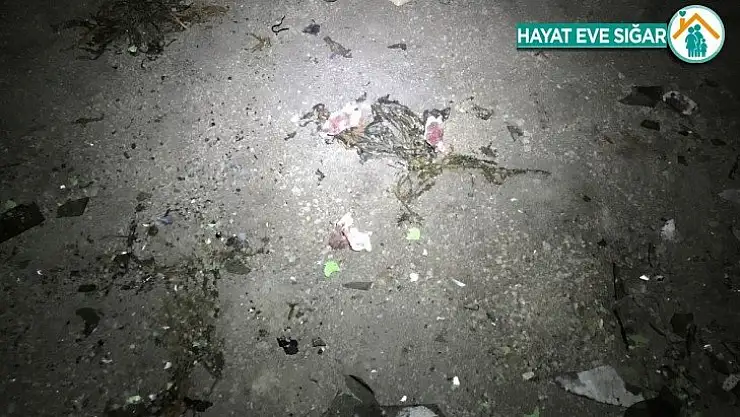 Büyükçekmece'de düşen eğitim uçağının enkazı kaldırıldı