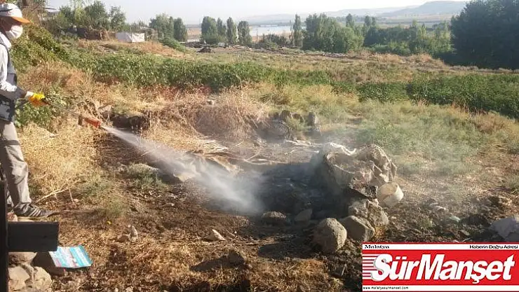 Büyükşehir belediyesi, ilaçlama çalışması başlattı