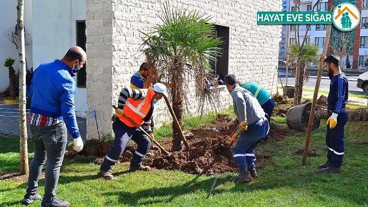Büyükşehir Belediyesi kenti 2 milyon mevsimlik çiçekle süsledi