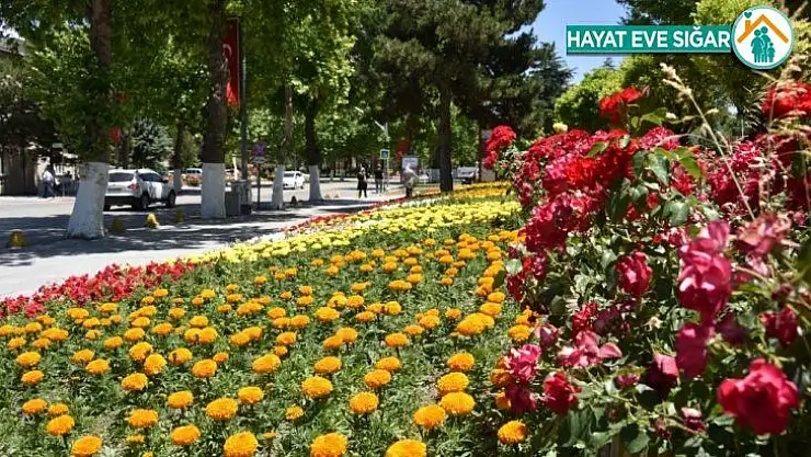 Büyükşehir Belediyesi'nden 150 bin çiçek