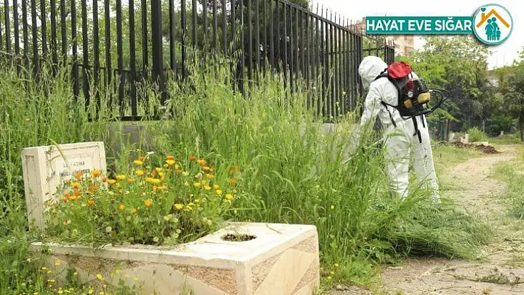 Büyükşehir Belediyesinden mezarlıklarda yabani ot temizliği