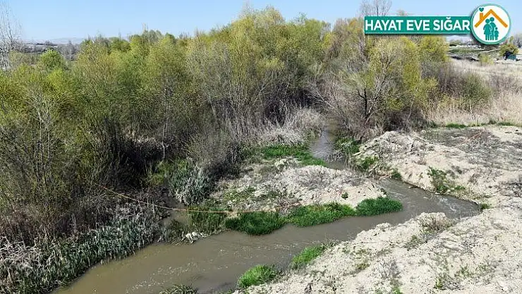Büyükşehir vektörle mücadelesine hız verdi