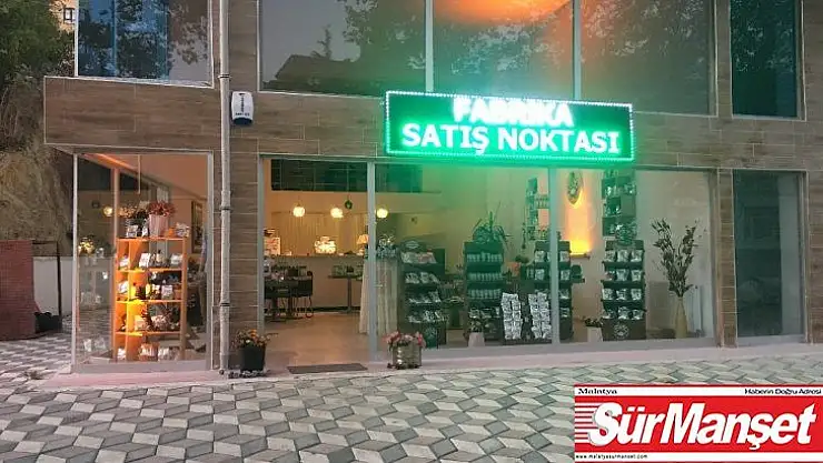 Çam kahvesinden sonra çam kolonyası üretti