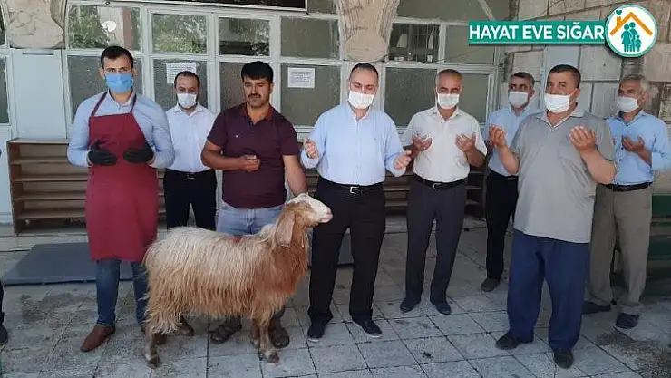 Camiler şükür için hayvan kesilerek ibadete açıldı