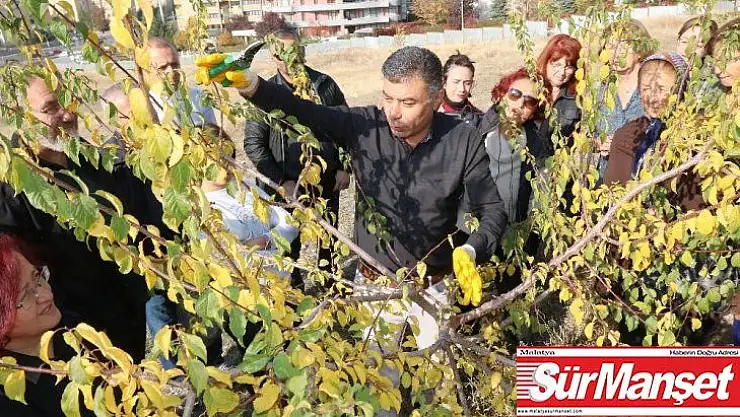 Çankaya Belediyesinden kursiyerlere budama eğitimi