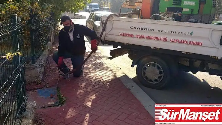 Çankaya'da ilaçlama kışın da devam edecek