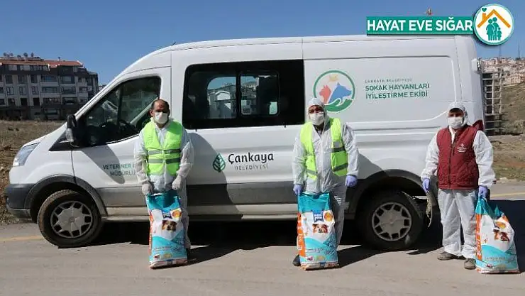Çankaya'dan can dostlara yardım eli