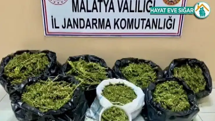 Çatıyı esrar üretim üssüne çevirmişler