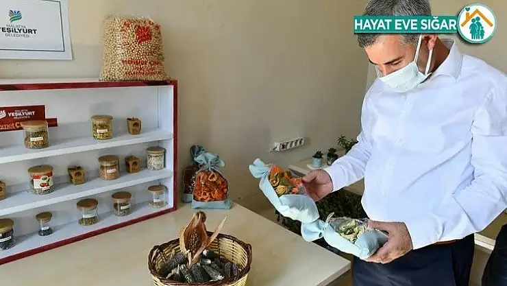 Çınar, 16 Ekim Dünya Gıda Gününü kutladı