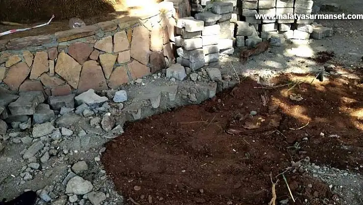 Çınar ağacının kökleri toprakla kapatıldı