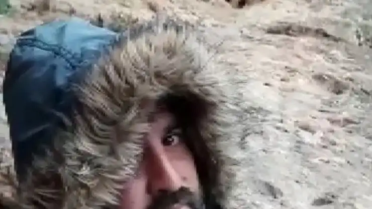 Çizgili sırtlan ile özçekim