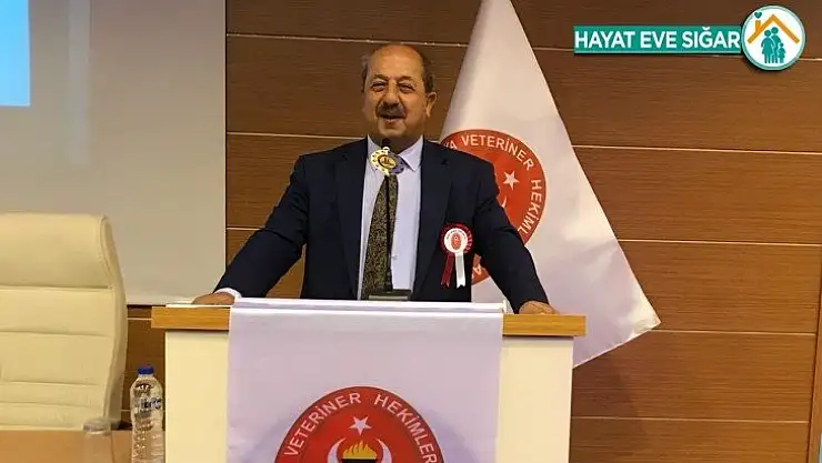 Covid-19'da hayvanların önemi