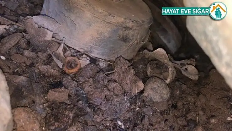 Çukurca'da anti personel mayını ele geçirildi