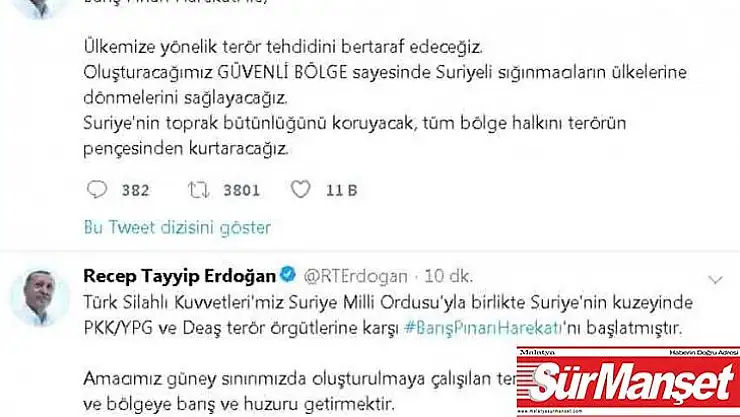 Cumhurbaşkanı Erdoğan: 'Barış Pınarı Harekatı başladı'