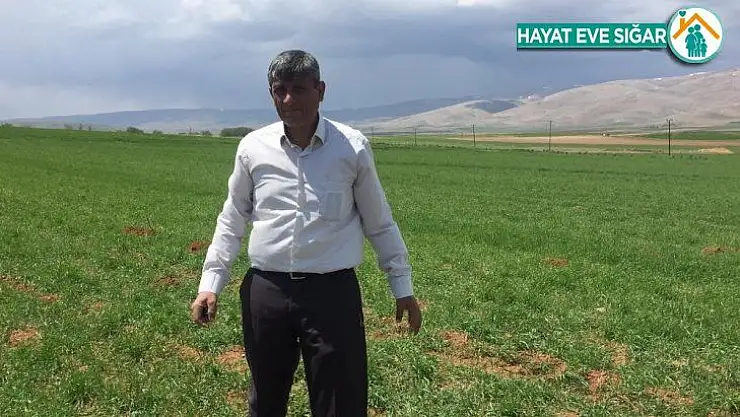 Darende'de kuraklık tehlikesi