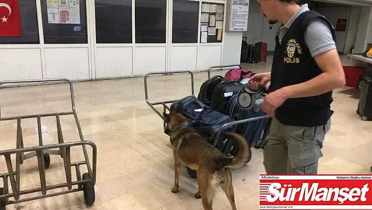Dedektör köpekler AŞTİ'yi didik didik etti