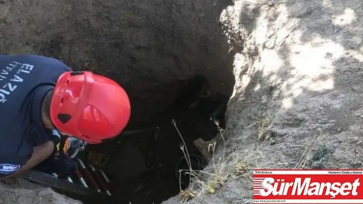 Definecilerin açtığı kuyuya düşen köpek kurtarıldı