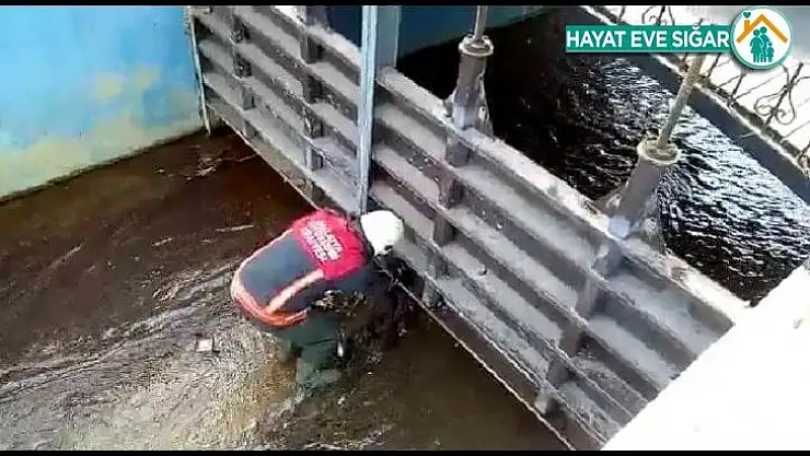 Demir korkuluklara sıkışan kediyi itfaiye kurtardı