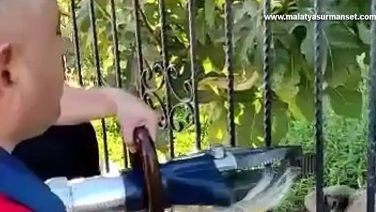 Demir korkulukların arasında saatlerce mahsur kalan köpeği itfaiye kurtardı