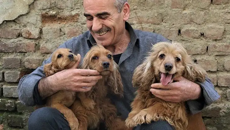 Depremzedenin köpek sevgisi, onlardan ayrılamıyor