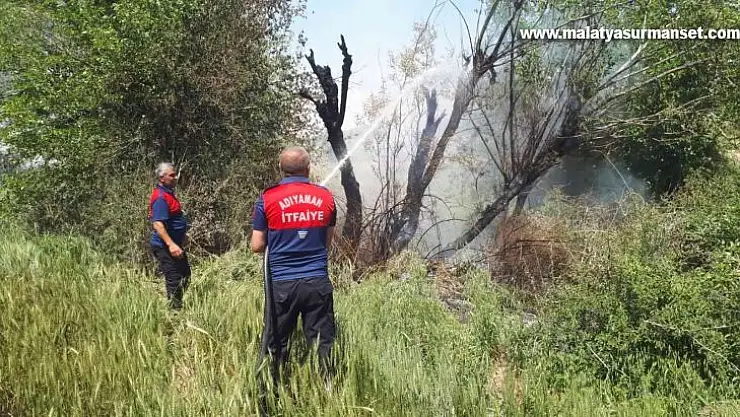 Dere içerisindeki ağaçlar yandı