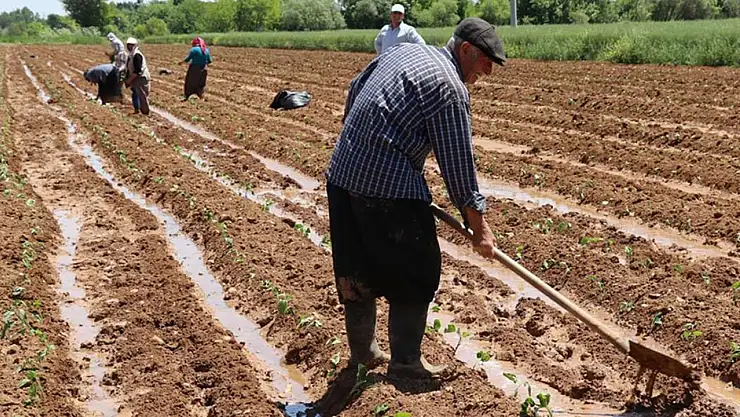 Destekleme Ödemeleri Başladı Kim, Ne Kadar Alacak?