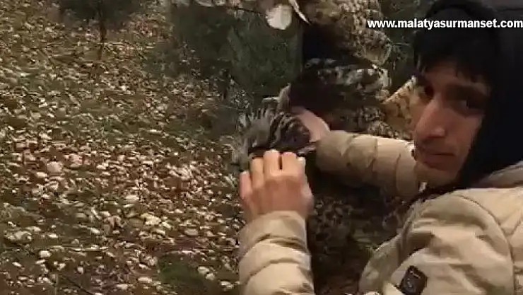 Dikenli tellere takılan baykuşu vatandaşlar kurtardı