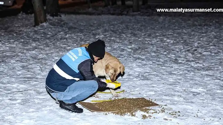 Diyarbakır'da 'Can Dostlara' 1 ton 700 kilogram mama bırakıldı