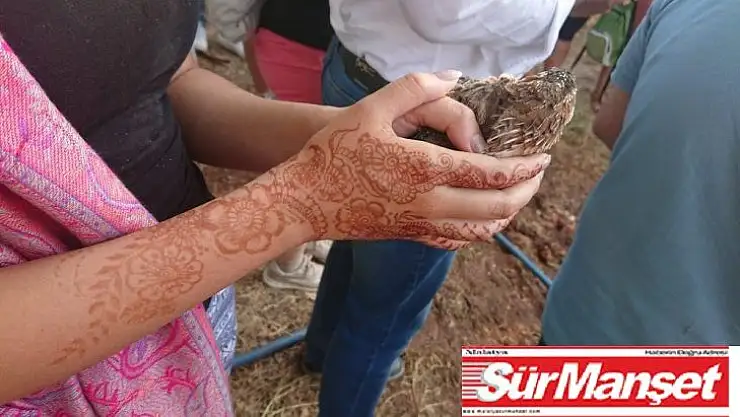 Diyarbakır'da 130 bıldırcın doğaya salındı