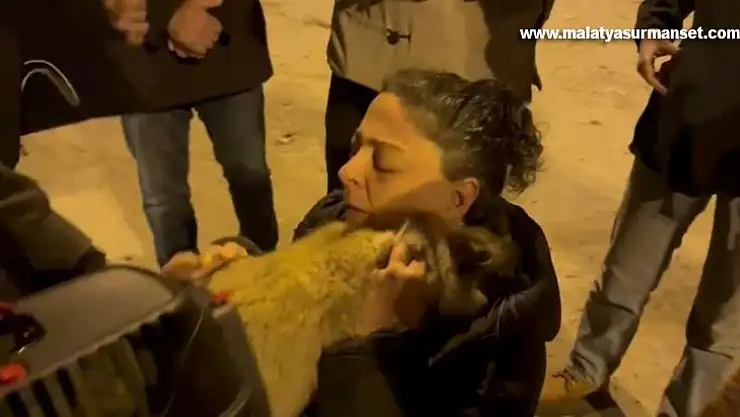 Diyarbakır'da 17 gündür enkazda olan 2 kedi kurtarıldı