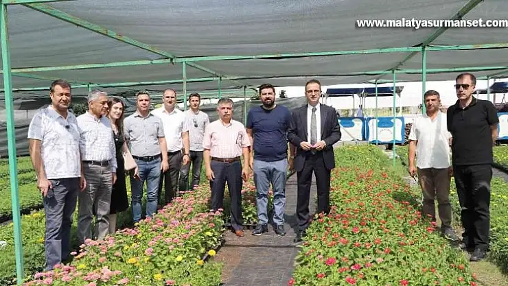 Diyarbakır'da 20 bin çam fidanı ve 500 bin mevsimlik çiçek dağıtıldı