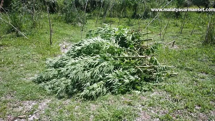 Diyarbakır'da 23 şüpheli gözaltına alındı