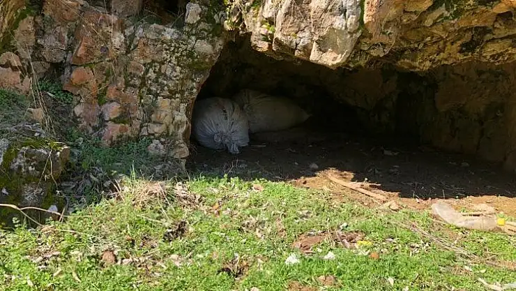 Diyarbakır'da 300 kilogram esrar ele geçirildi