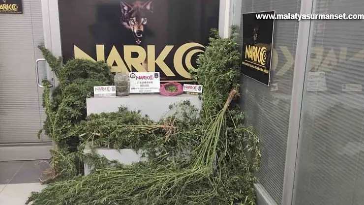 Diyarbakır'da bahçesinde uyuşturucu eken şüpheli tutuklandı
